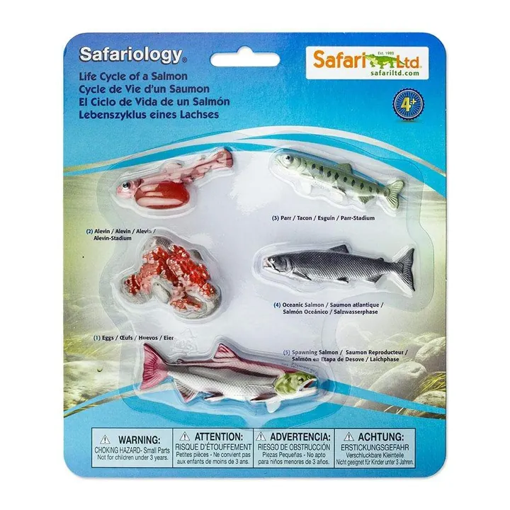 Набор фигурок Safari Ltd Жизненный цикл лосося, фото 3