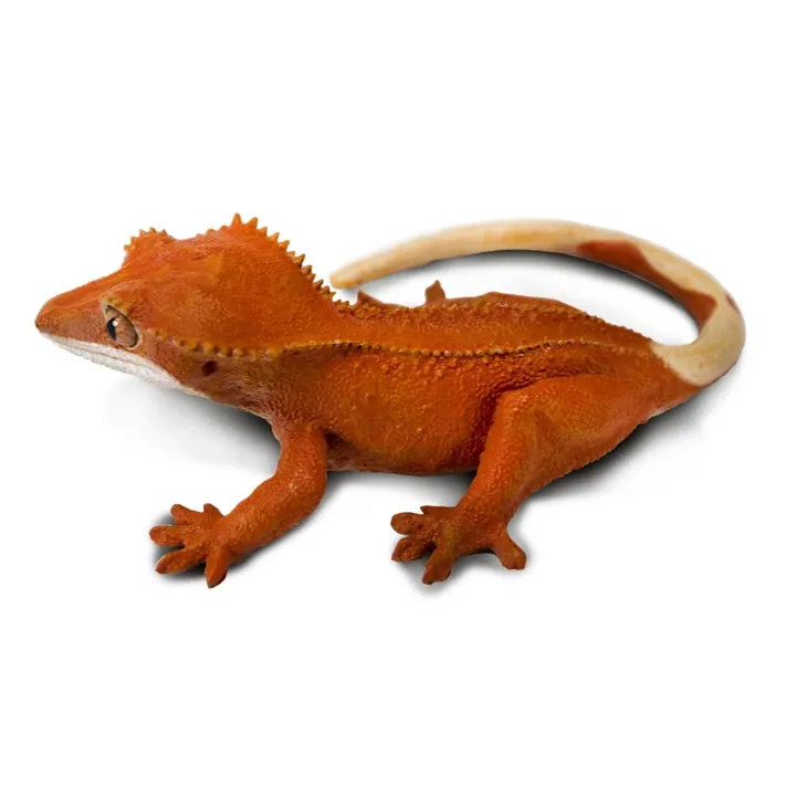 Фигурка ящерицы Safari Ltd Реснитчатый геккон-бананоед, фото 3