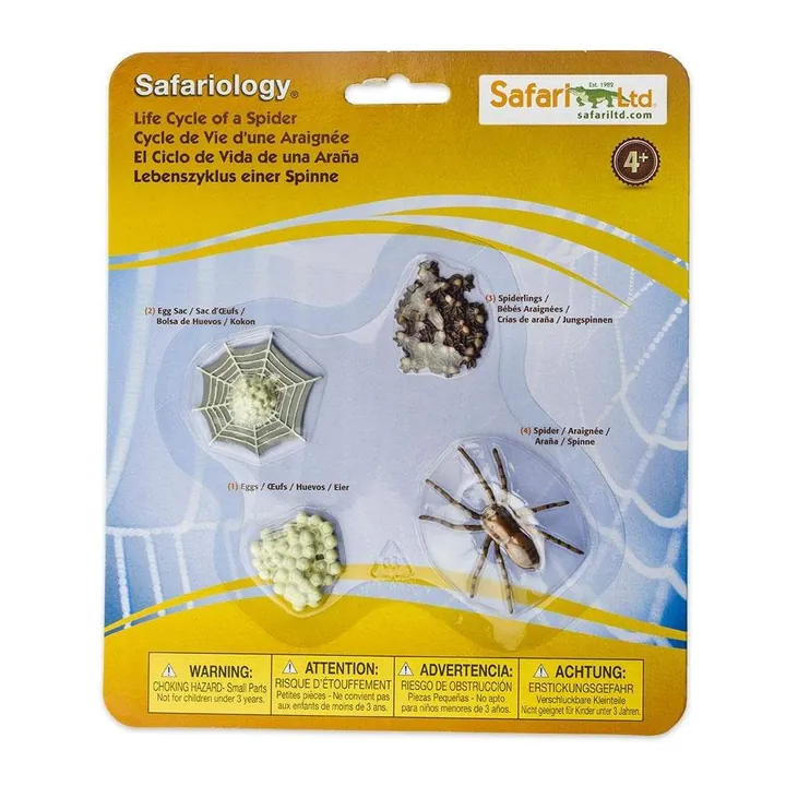 Набор фигурок Safari Ltd Жизненный цикл паука, фото 3