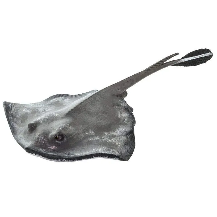 Фигурка Safari Ltd Морской кот, арт. 100507
