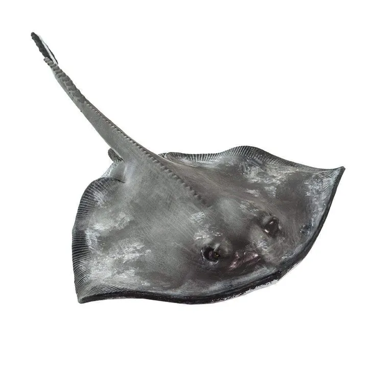 Фигурка Safari Ltd Морской кот, фото 5