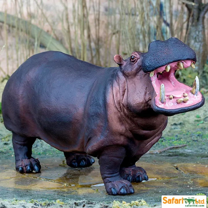 Фигурка Safari Ltd Гиппопотам, фото 5