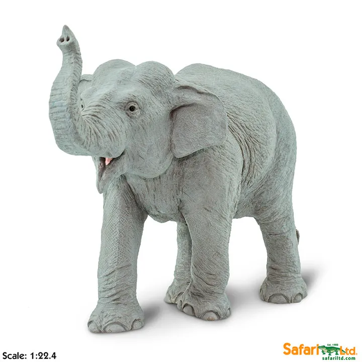 Фигурка Safari Ltd Индийский слон, фото 4