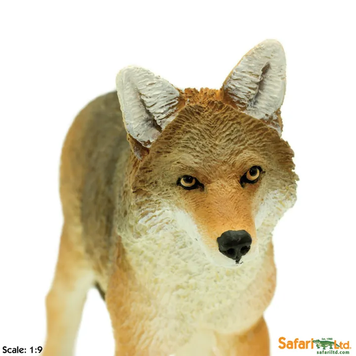 Фигурка Safari Ltd Койот, фото 5