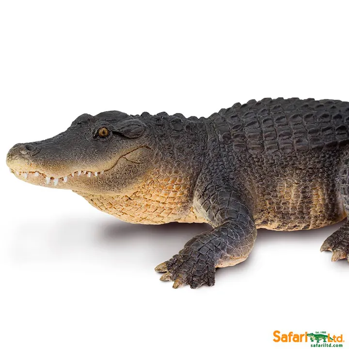 Фигурка крокодила Safari Ltd Американский аллигатор, фото 3