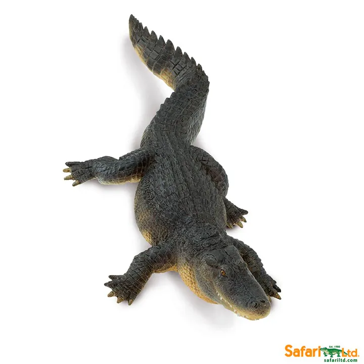 Фигурка крокодила Safari Ltd Американский аллигатор, фото 5