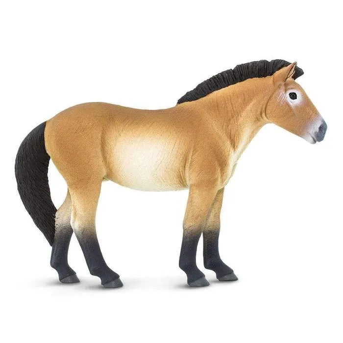 Фигурка Safari Ltd Лошадь Пржевальского, арт. 153505