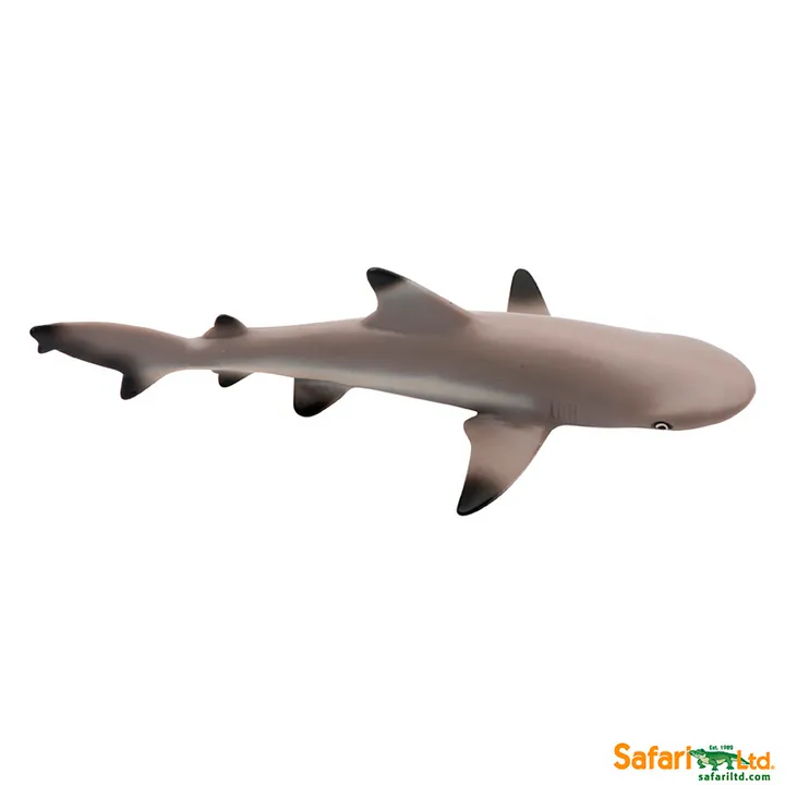 Фигурка Safari Ltd Чернопёрая рифовая акула, фото 2