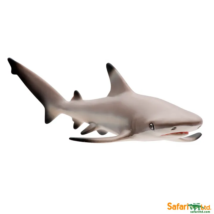Фигурка Safari Ltd Чернопёрая рифовая акула, фото 4