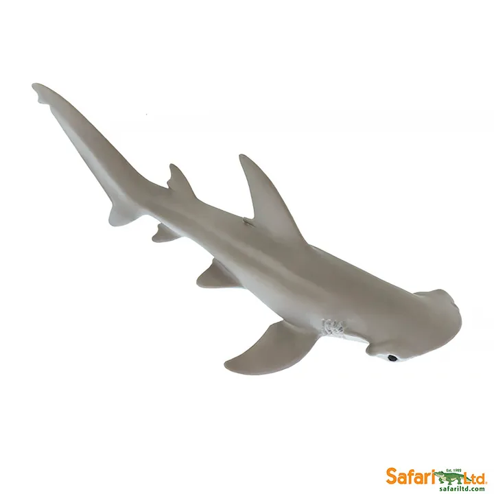 Фигурка Safari Ltd Малоголовая акула-молот, арт. 200329