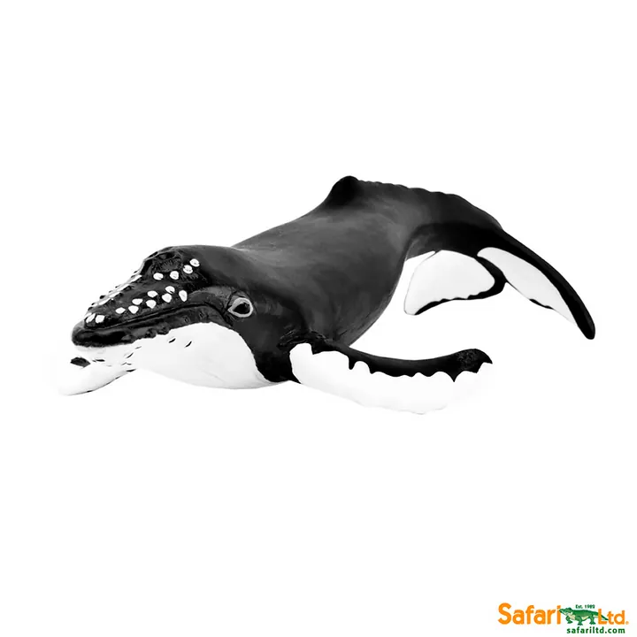 Фигурка Safari Ltd Горбатый кит, фото 2