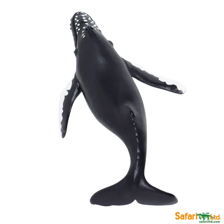 Фигурка Safari Ltd Горбатый кит, фото 4