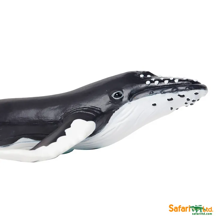 Фигурка Safari Ltd Горбатый кит, фото 5