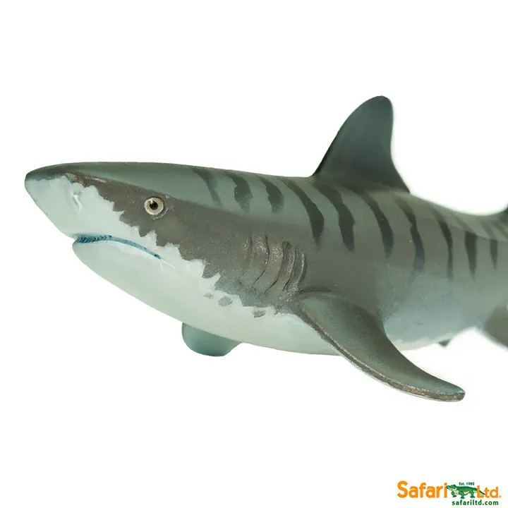 Фигурка Safari Ltd Тигровая акула, фото 5