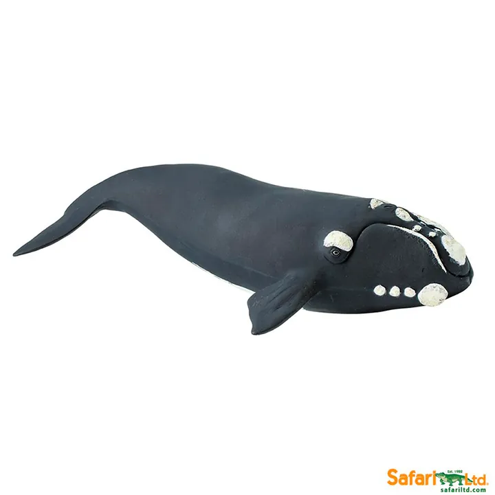 Фигурка Safari Ltd Южный гладкий кит, арт. 204229