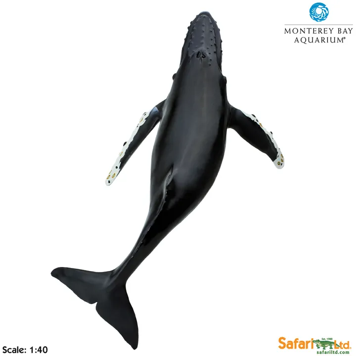 Фигурка Safari Ltd Горбатый кит, фото 2