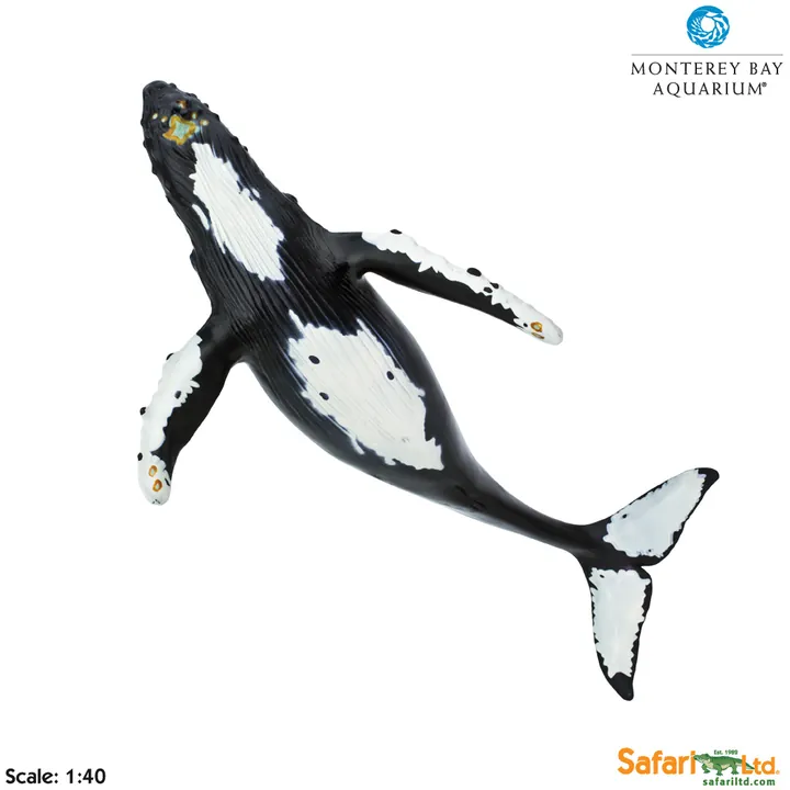 Фигурка Safari Ltd Горбатый кит, фото 3