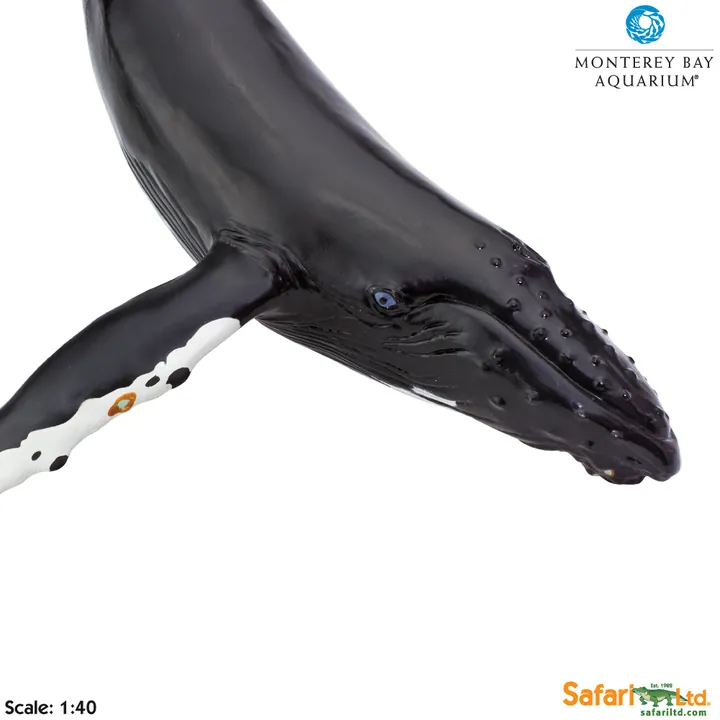 Фигурка Safari Ltd Горбатый кит, фото 4