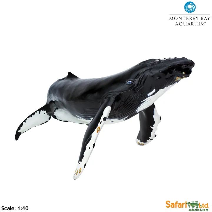 Фигурка Safari Ltd Горбатый кит, фото 5