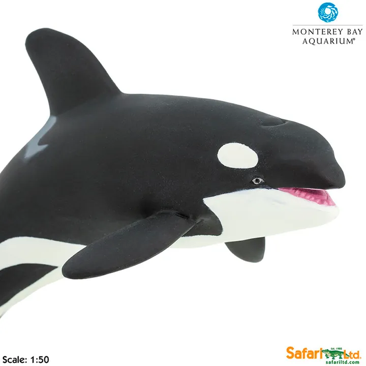 Фигурка Safari Ltd Косатка (самка), фото 5
