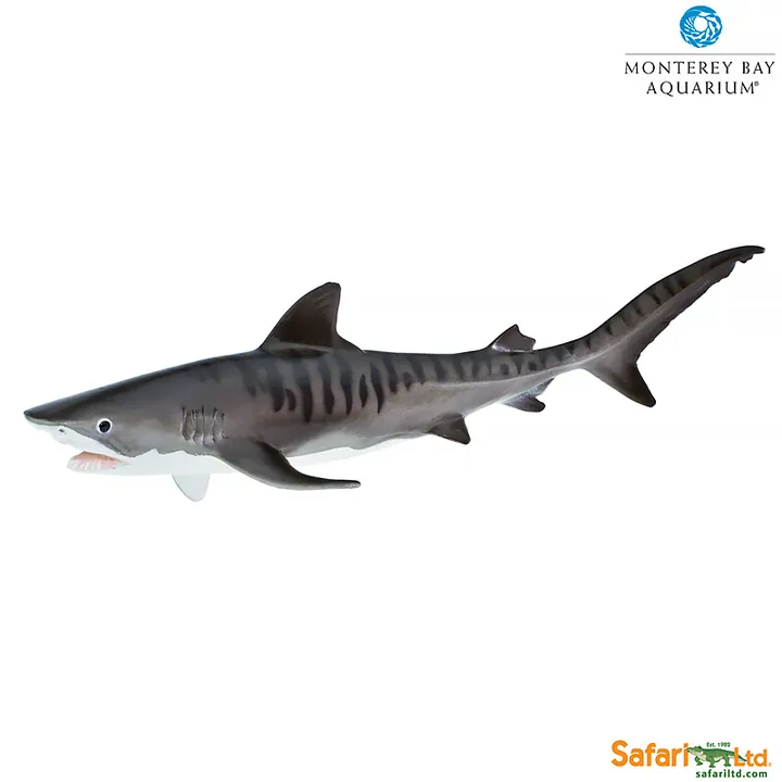 Фигурка Safari Ltd Тигровая акула, арт. 211702