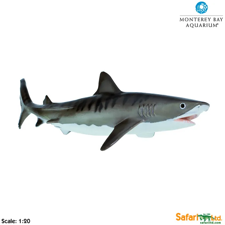 Фигурка Safari Ltd Тигровая акула, фото 2