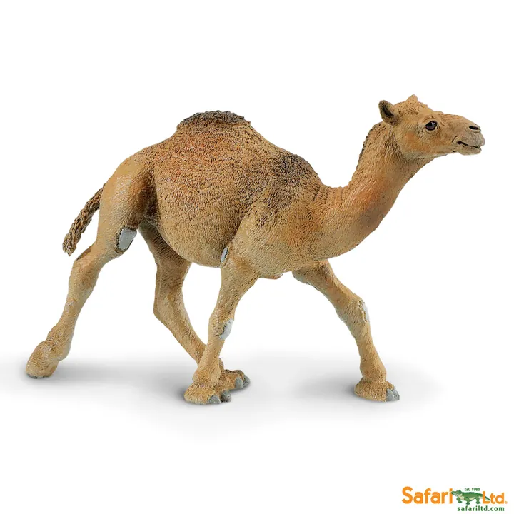 Фигурка Safari Ltd Одногорбый верблюд, арт. 222429