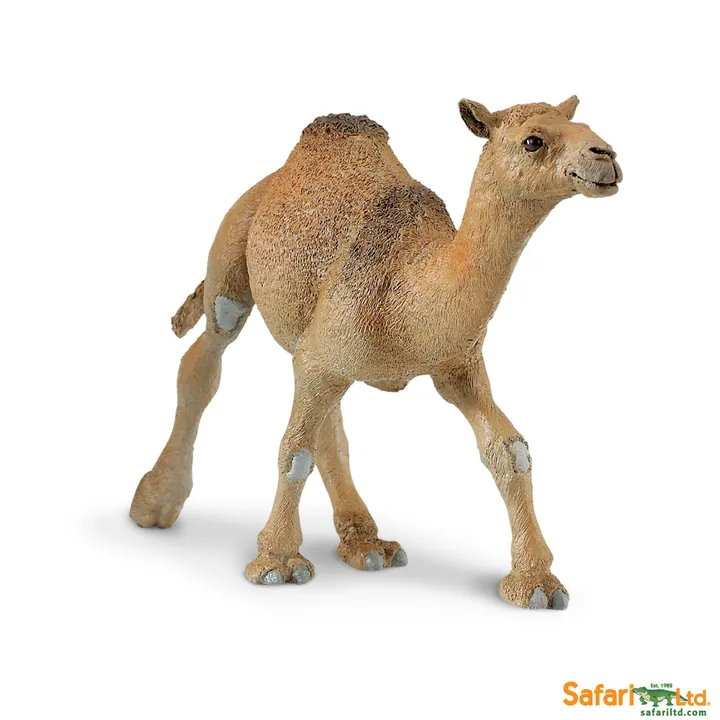 Фигурка Safari Ltd Одногорбый верблюд, фото 2