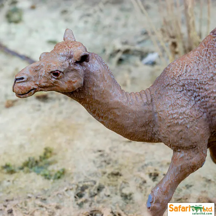 Фигурка Safari Ltd Одногорбый верблюд, фото 3