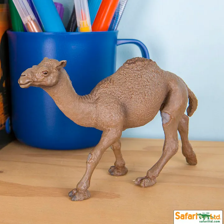Фигурка Safari Ltd Одногорбый верблюд, фото 4