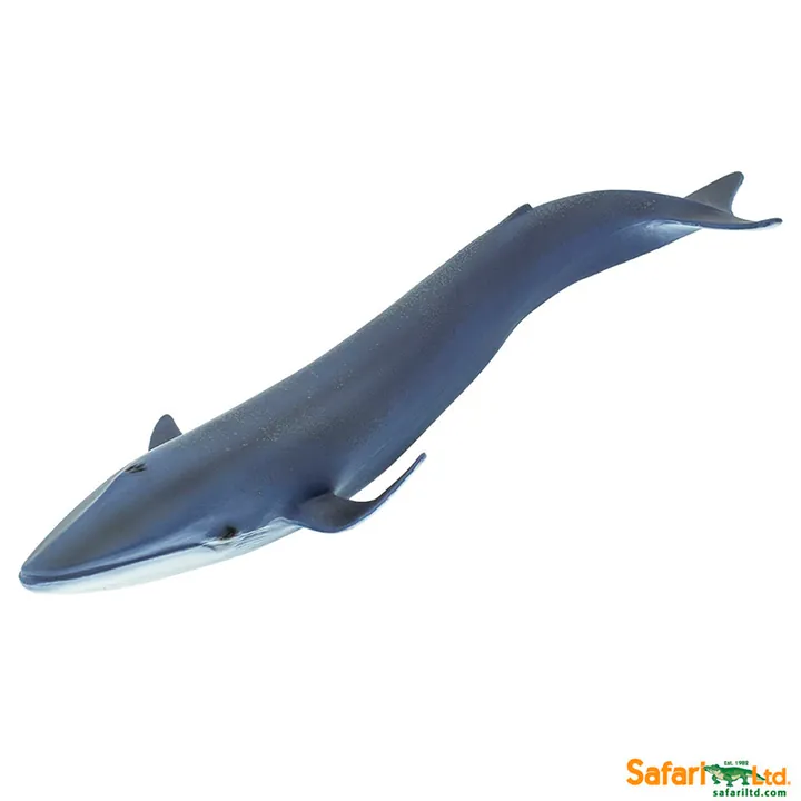 Фигурка Safari Ltd Синий кит, арт. 223229