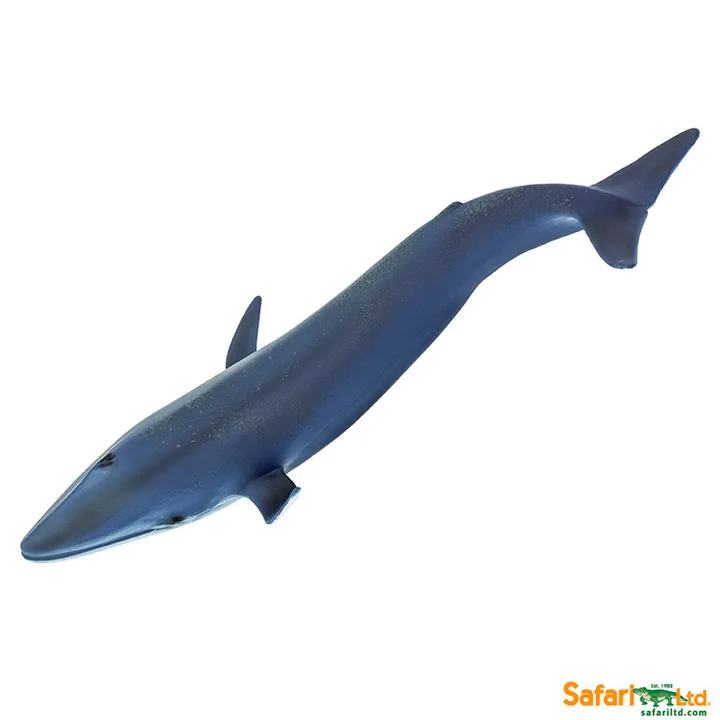 Фигурка Safari Ltd Синий кит, фото 3