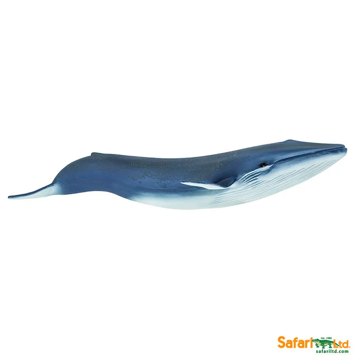 Фигурка Safari Ltd Синий кит, фото 4