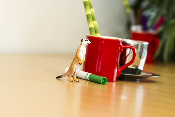 Фигурка Safari Ltd Сурикат, фото 5