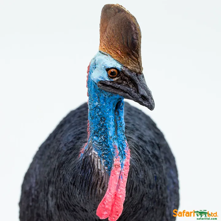 Фигурка птицы Safari Ltd Казуар, фото 4