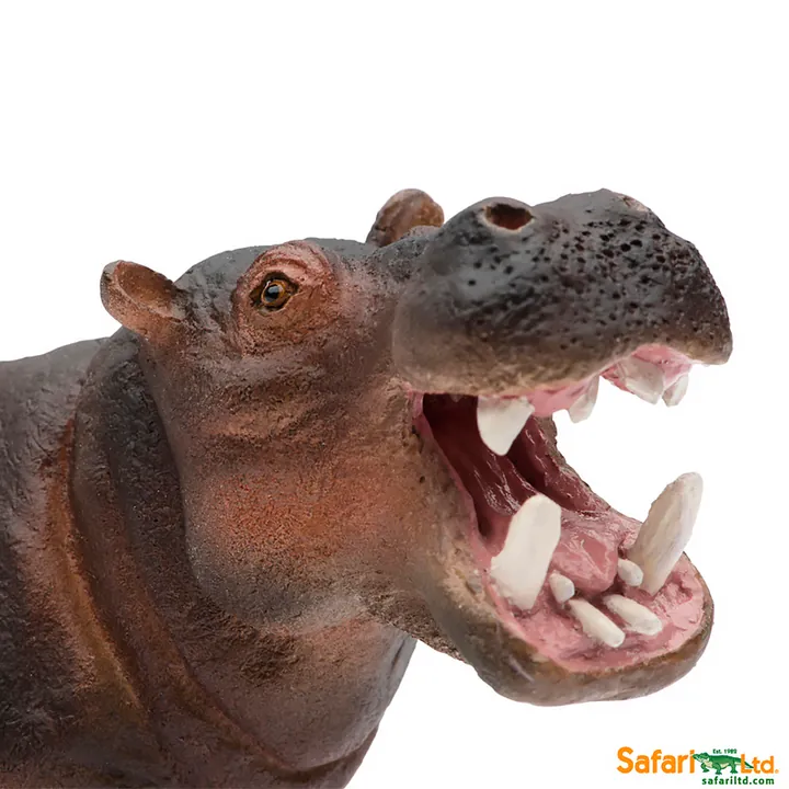Фигурка Safari Ltd Бегемот, фото 4