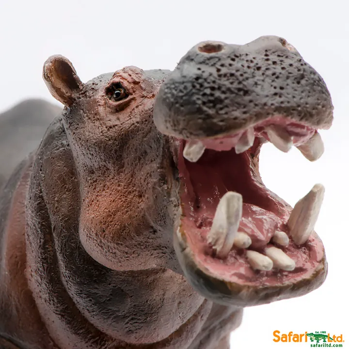 Фигурка Safari Ltd Бегемот, фото 5