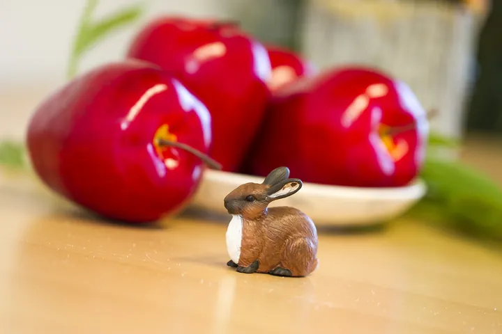 Фигурка Safari Ltd Кролик, фото 2