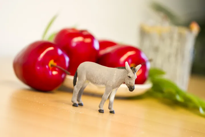 Фигурка Safari Ltd Осёл, фото 5
