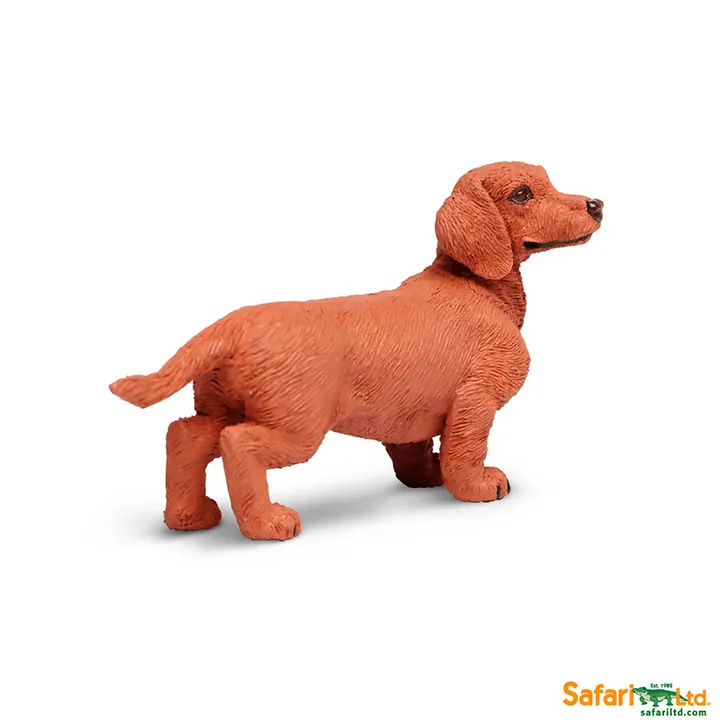 Фигурка собаки Safari Ltd Такса, фото 2