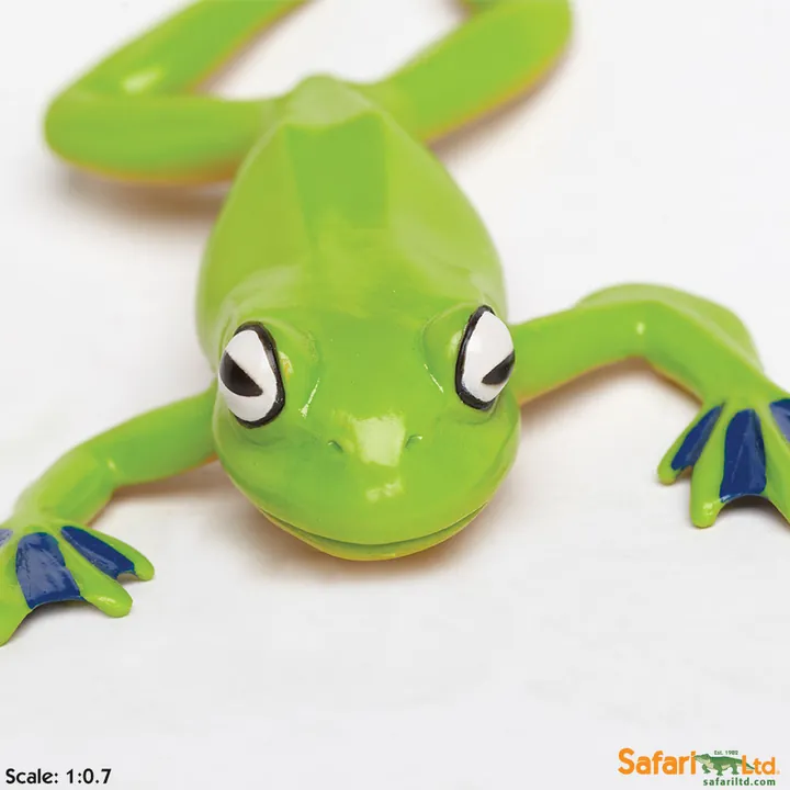 Фигурка лягушки Safari Ltd Древесная лягушка, фото 3