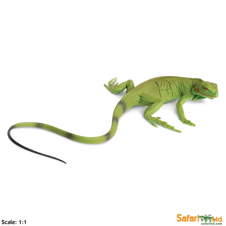 Фигурка ящерицы Safari Ltd Зелёная игуана (детёныш), арт. 258329