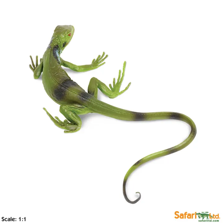 Фигурка ящерицы Safari Ltd Зелёная игуана (детёныш), фото 2