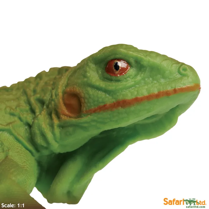 Фигурка ящерицы Safari Ltd Зелёная игуана (детёныш), фото 5