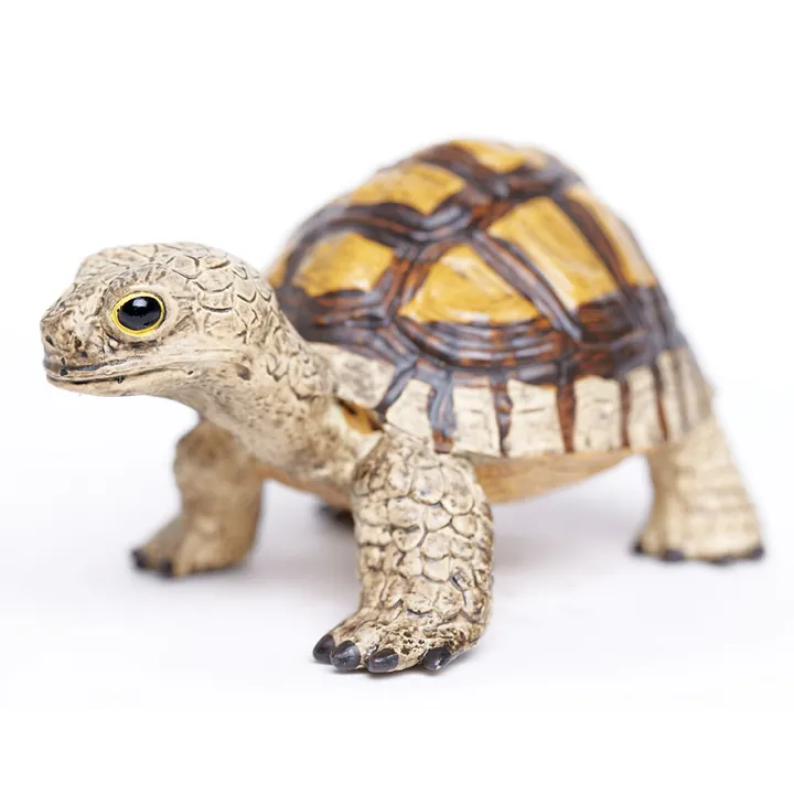 Фигурка черепахи Safari Ltd Сухопутная черепаха, фото 3