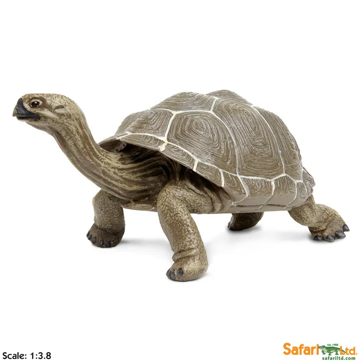 Фигурка черепахи Safari Ltd Сухопутная черепаха, арт. 260729
