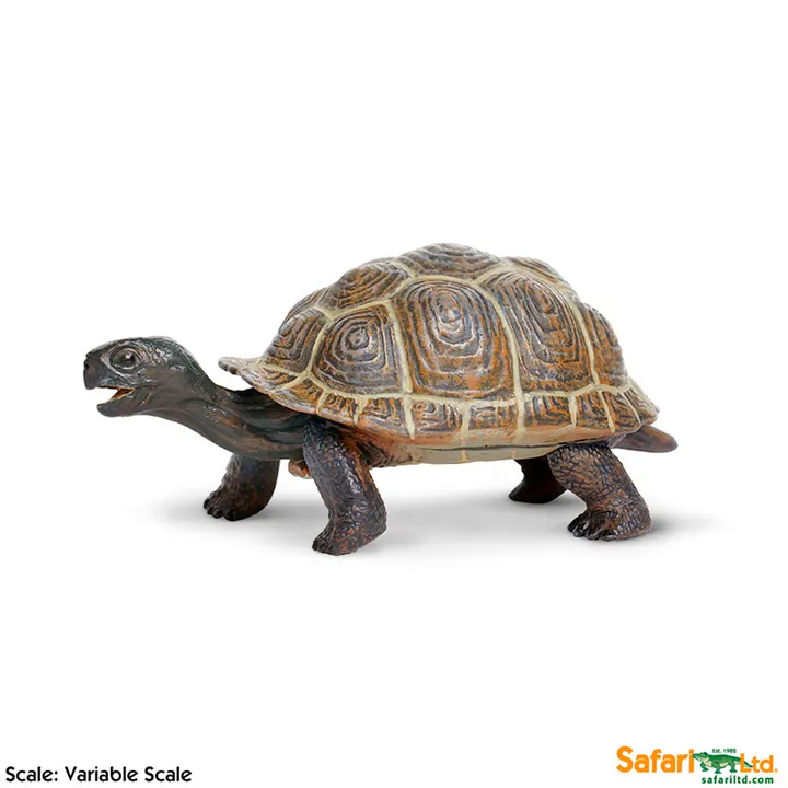 Фигурка черепахи Safari Ltd Сухопутная черепаха (детёныш), арт. 260829