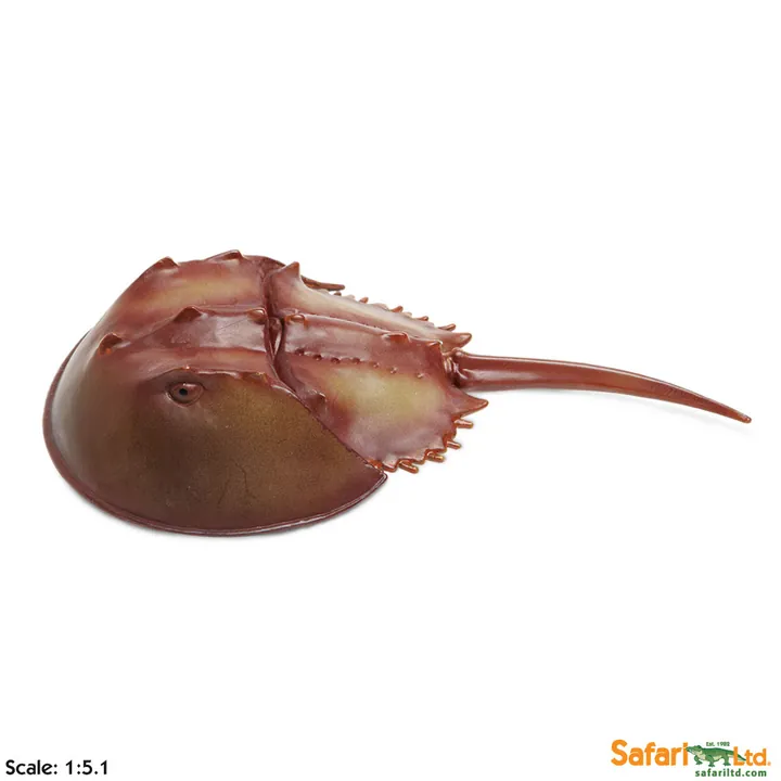 Фигурка Safari Ltd Мечехвост, арт. 261429