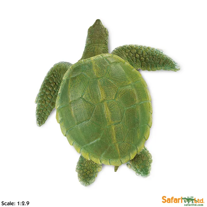 Фигурка черепахи Safari Ltd Атлантическая ридлея, фото 2