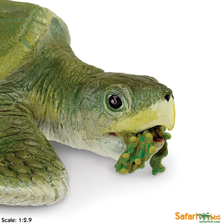 Фигурка черепахи Safari Ltd Атлантическая ридлея, фото 3